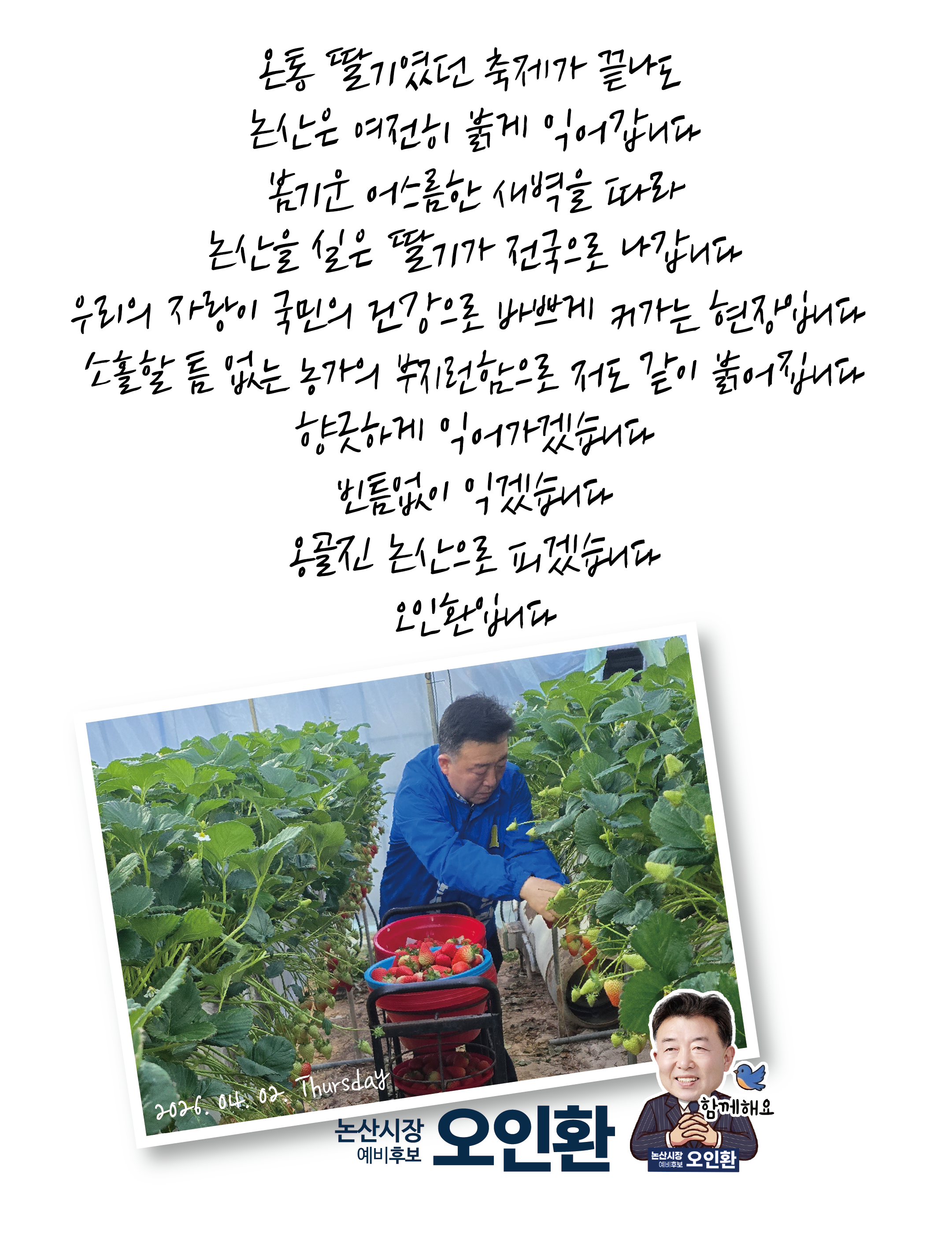 온통 딸기였던 축제가 끝나도