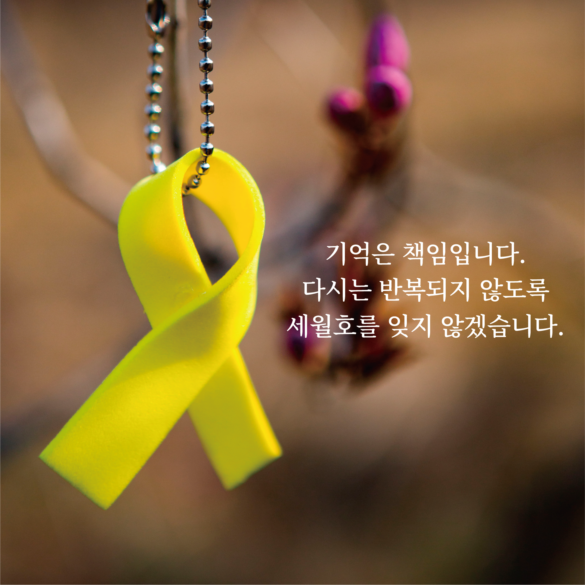 세월호 참사 12주기